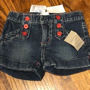 Pumpkin patch girls shorts